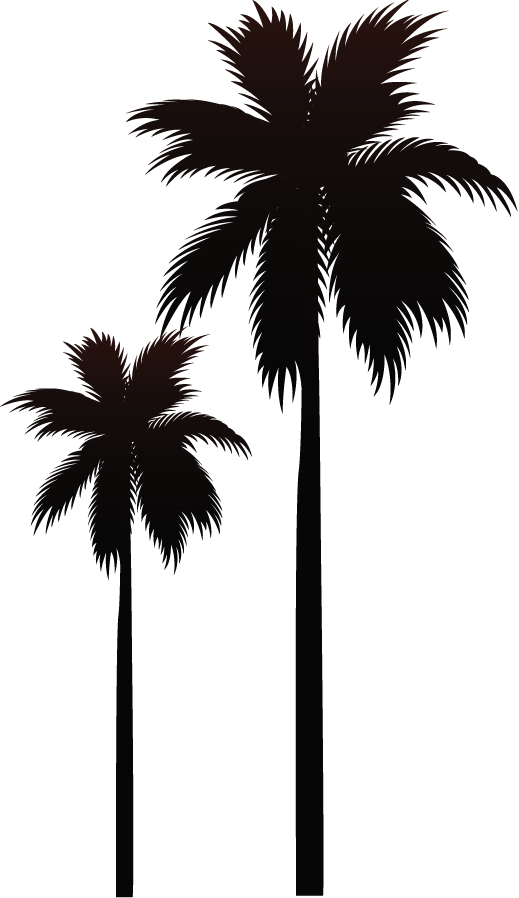 palm trees